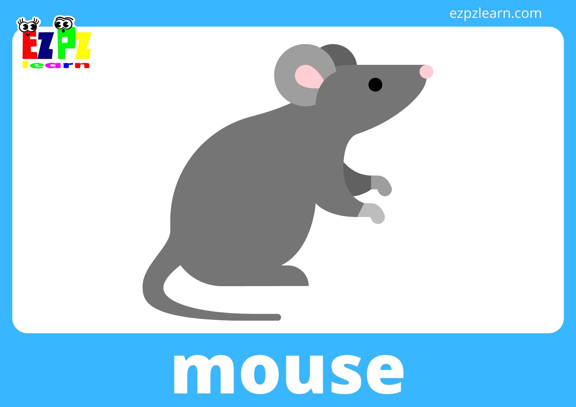 mouse